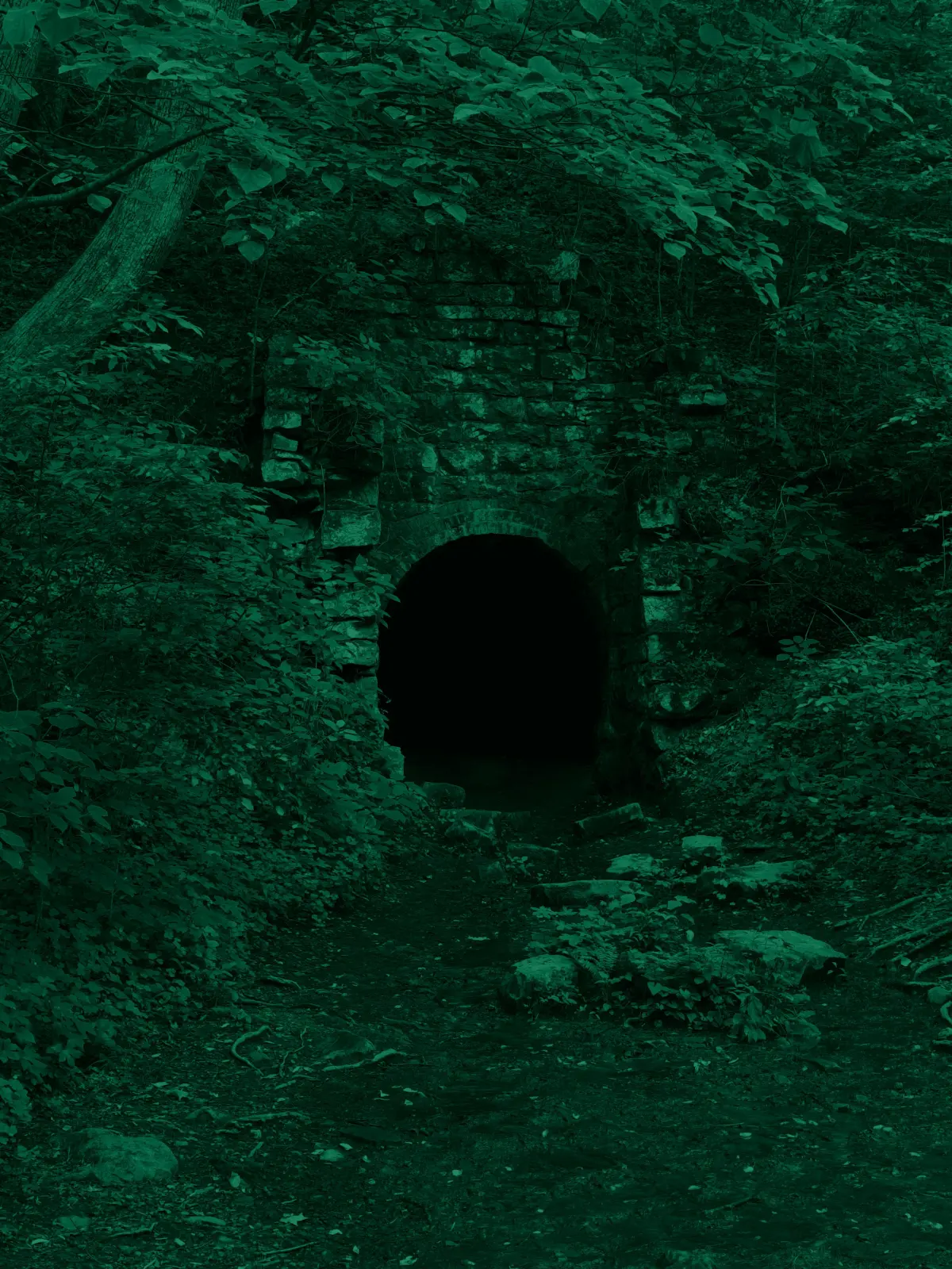 "Phthalo Tunnel"